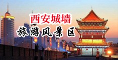 肥婆操屁屁中国陕西-西安城墙旅游风景区