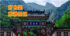 骚逼视频免费