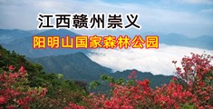 操穴后入视频